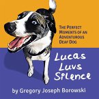 Lucas Luvs Silence