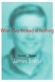 What I Say Instead of Nothing: Stories and Essays by James Brega