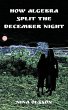 How Algebra Split the December Night - Bild 1