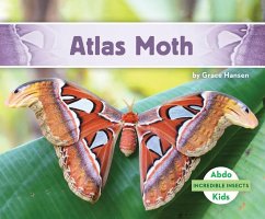 Atlas Moth - Hansen, Grace