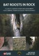 Bat Roosts in Rock - Bild 1