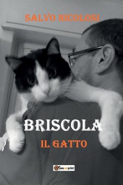 Briscola il Gatto - Nicolosi, Salvo