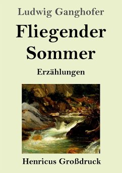 Fliegender Sommer (Großdruck) - Ganghofer, Ludwig