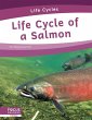 Life Cycle of a Salmon - Bild 1