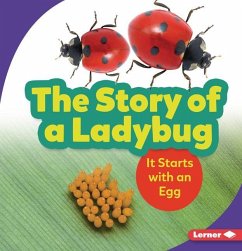 The Story of a Ladybug - Owings, Lisa