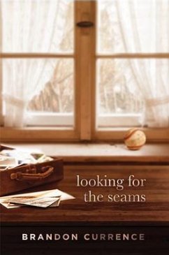 Cover Looking for the Seams (eBook, ePUB)