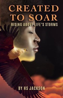 Created to Soar: Rising Above Life's Storms - Jackson, H. S.