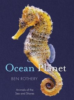 Ocean Planet - Rothery, Ben