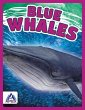 Blue Whales - Bild 1