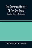 The Common Objects Of The Sea Shore