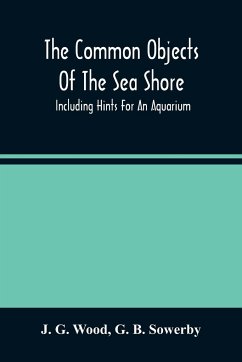 The Common Objects Of The Sea Shore - G. Wood, J.; B. Sowerby, G.