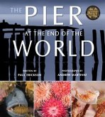 The Pier at the End of the World The Pier at the End of the World