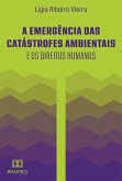 A emergência das catástrofes ambientais e os direitos humanos (eBook, ePUB)