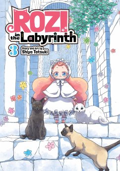 Rozi in the Labyrinth Vol. 3 - Totsuki, Shiya