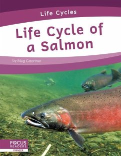 Life Cycle of a Salmon - Gaertner, Meg