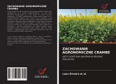 ZACHOWANIE AGRONOMICZNE CRAMBE