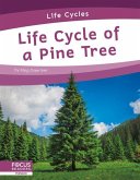 Life Cycle of a Pine Tree