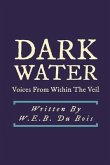 Darkwater: Voices From Within the Veil