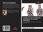 Sketch on the production of violence by young offenders