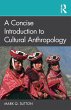 A Concise Introduction to Cultural... - Bild 1