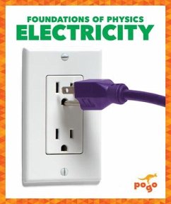 Electricity - Amin, Anita Nahta