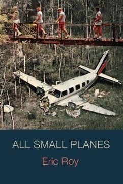 All Small Planes - Roy, Eric