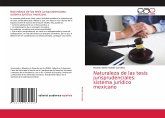 Naturaleza de las tesis jurisprudenciales: sistema jurídico mexicano