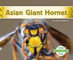 Asian Giant Hornet - Hansen, Grace
