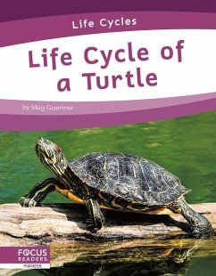 Life Cycle of a Turtle - Gaertner, Meg