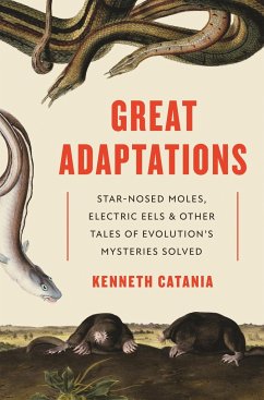 Great Adaptations - Catania, Kenneth