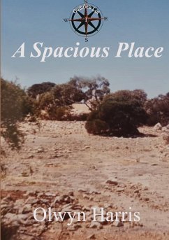 A Spacious Place - Harris, Olwyn