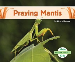 Praying Mantis - Hansen, Grace