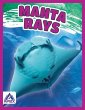 Manta Rays - Bild 1