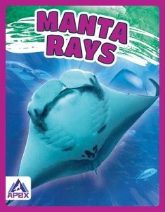 Manta Rays - Lim, Angela