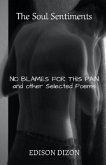 The Soul Sentiments: No Blames for This Pain