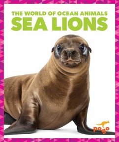 Sea Lions Cover Sea Lions