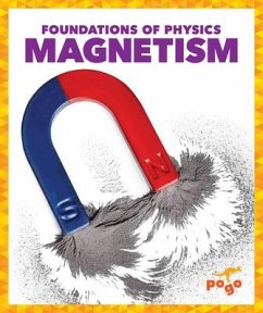 Magnetism - Amin, Anita Nahta