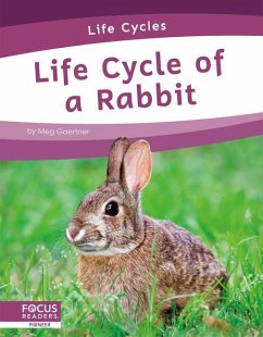 Life Cycle of a Rabbit - Gaertner, Meg