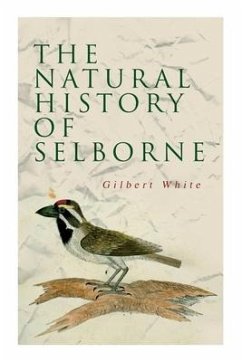 The Natural History of Selborne - White, Gilbert; Morley, Henry