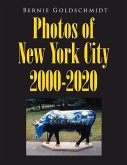 Bernie Goldschmidt Photos of New York City 2000-2020