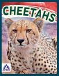 Cheetahs - Bild 1