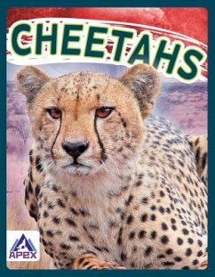 Wild Cats: Cheetahs - Geister-Jones, Sophie