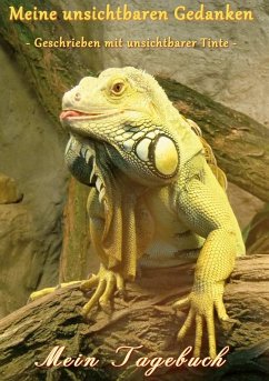 Cover Meine unsichtbaren Gedanken