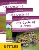 Life Cycles (Set of 8)