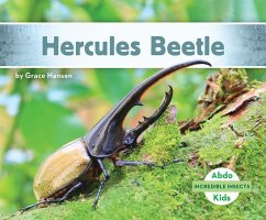 Hercules Beetle - Hansen, Grace