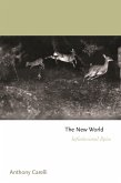 The New World: Infinitesimal Epics
