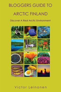 Cover BLOGGERS GUIDE TO ARCTIC FINLAND