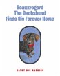 Beauxregard The Dachshund Finds His... - Bild 1