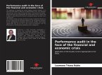 Performance audit in the face of the financial and economic crisis