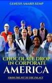 Chocolate Drop in Corporate America: From the Pit to the Palace